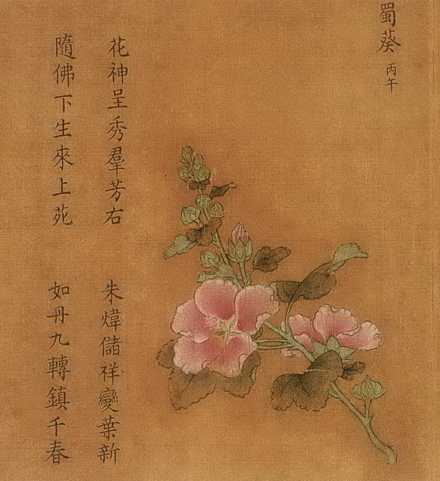 南宋,无款,《百花图卷》(局部,蜀葵)