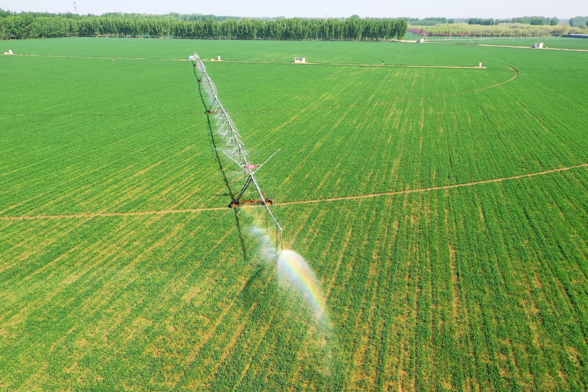 智能灌溉系统高效节水,助力高标准农田建设.记者 常鸣/摄