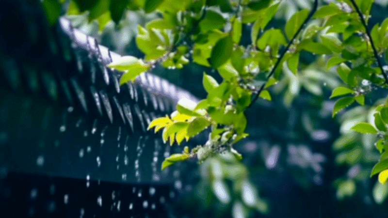 半山听雨,静心无忧