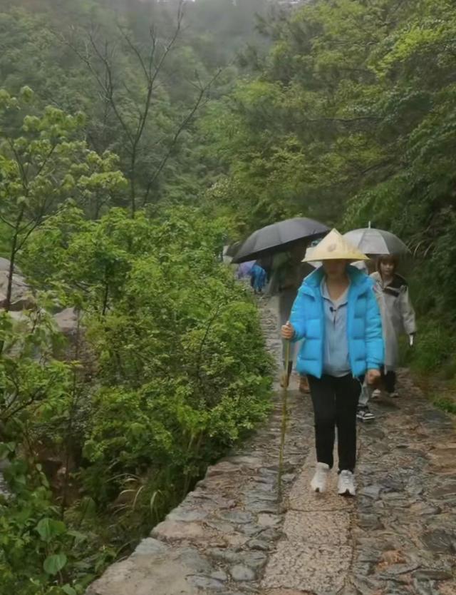 主持人周群雨天爬山出意外，天冷路滑摔跤，四周陡峭浑身是雨水