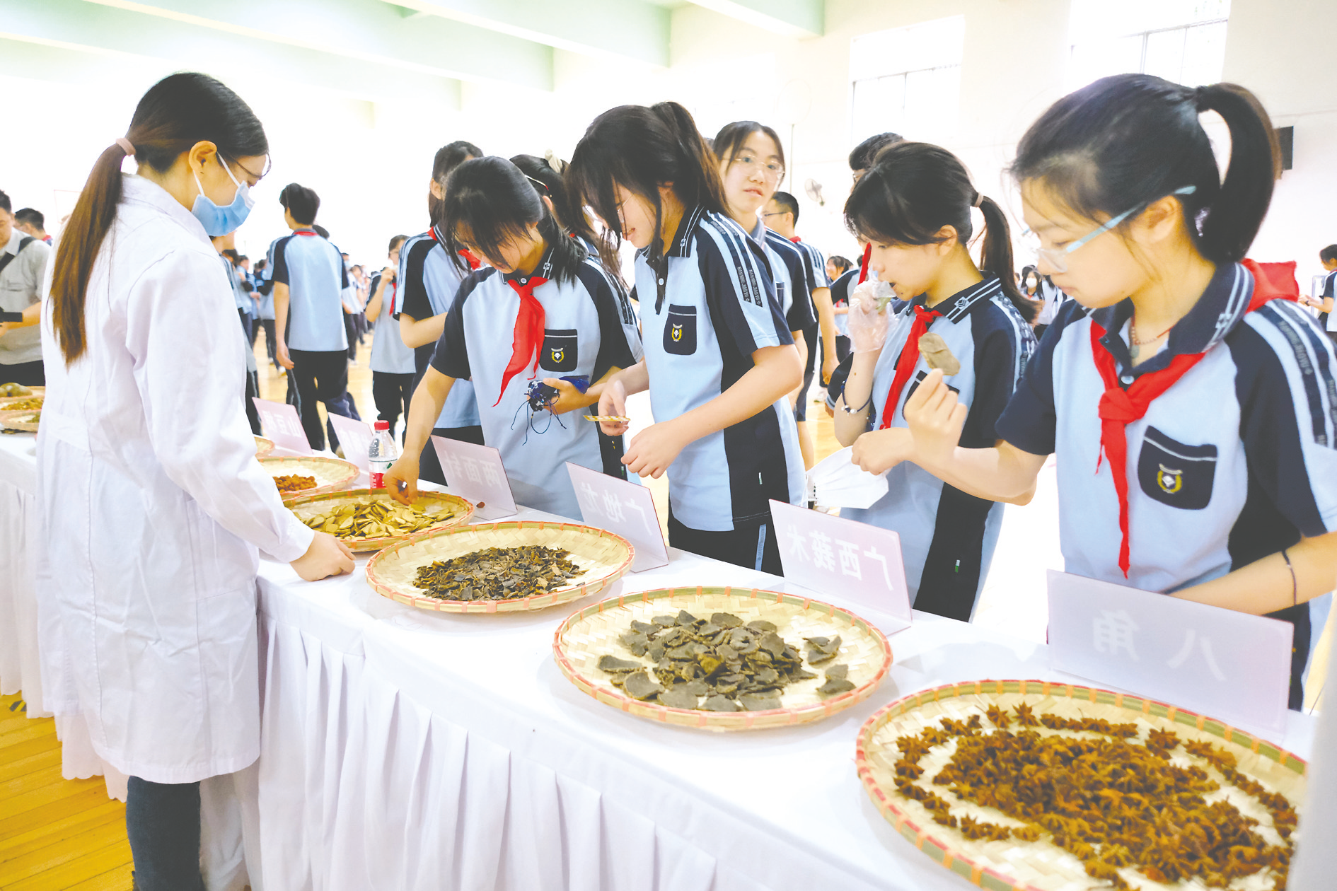 传承民族瑰宝 探寻国粹中医