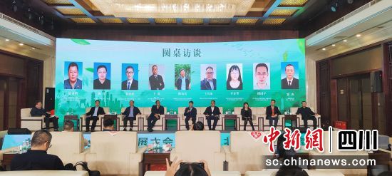 东西协作话三茶 浙川携手促振兴