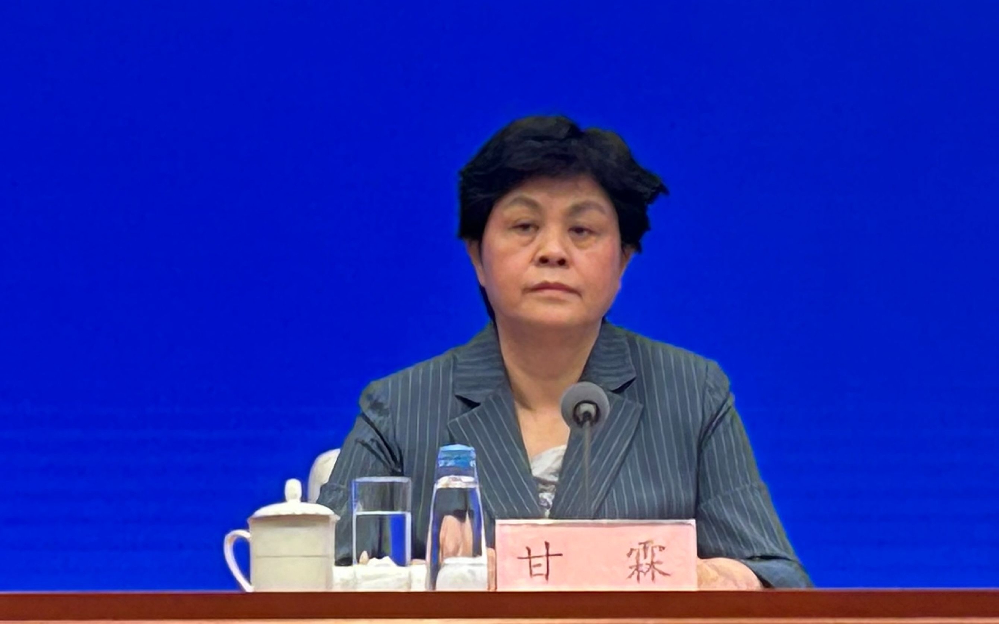 国家市场监管总局副局长甘霖.新京报记者 陈琳 摄