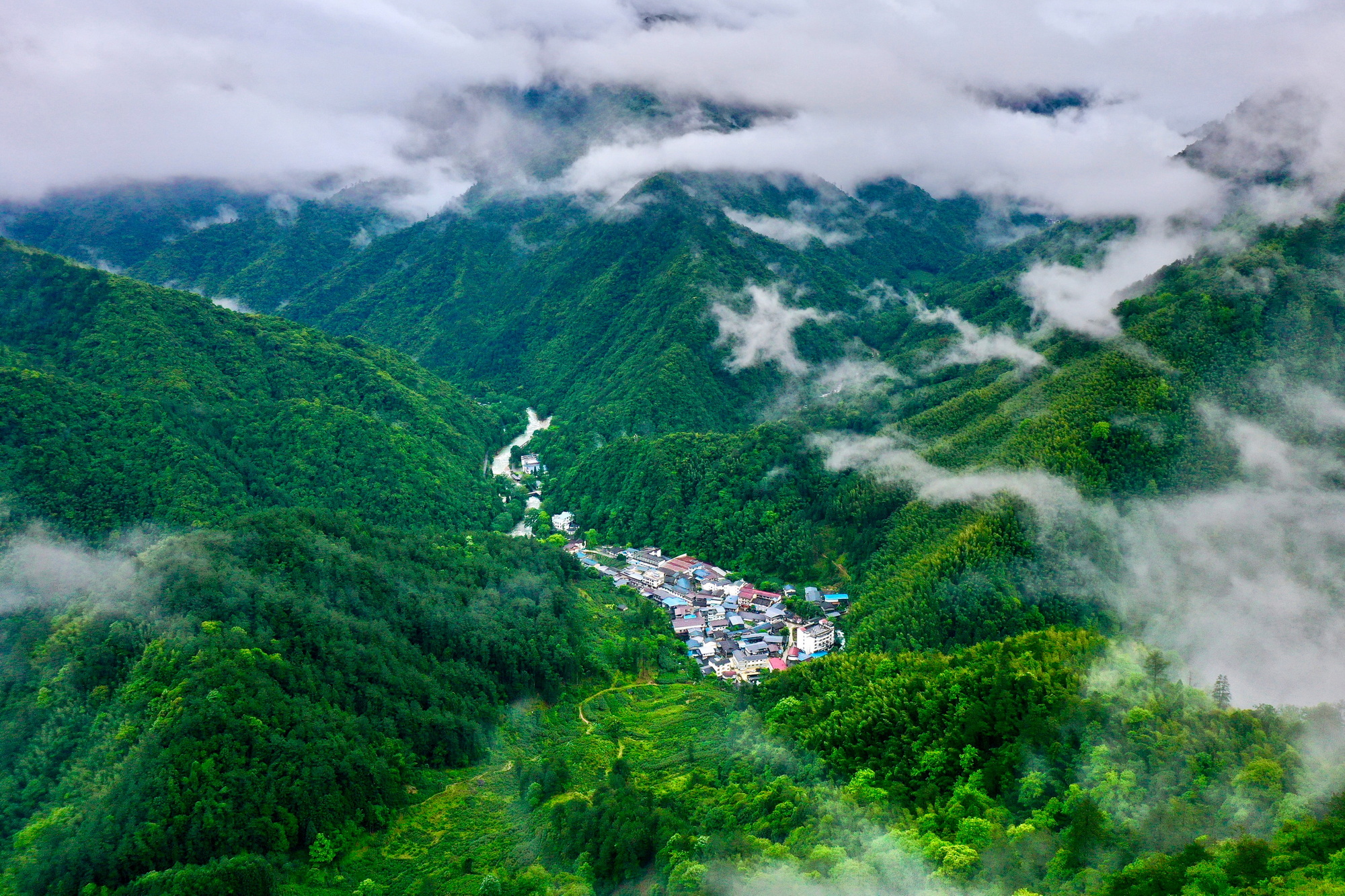 这是位于福建武夷山国家公园腹地的桐木村景观(无人机照片).