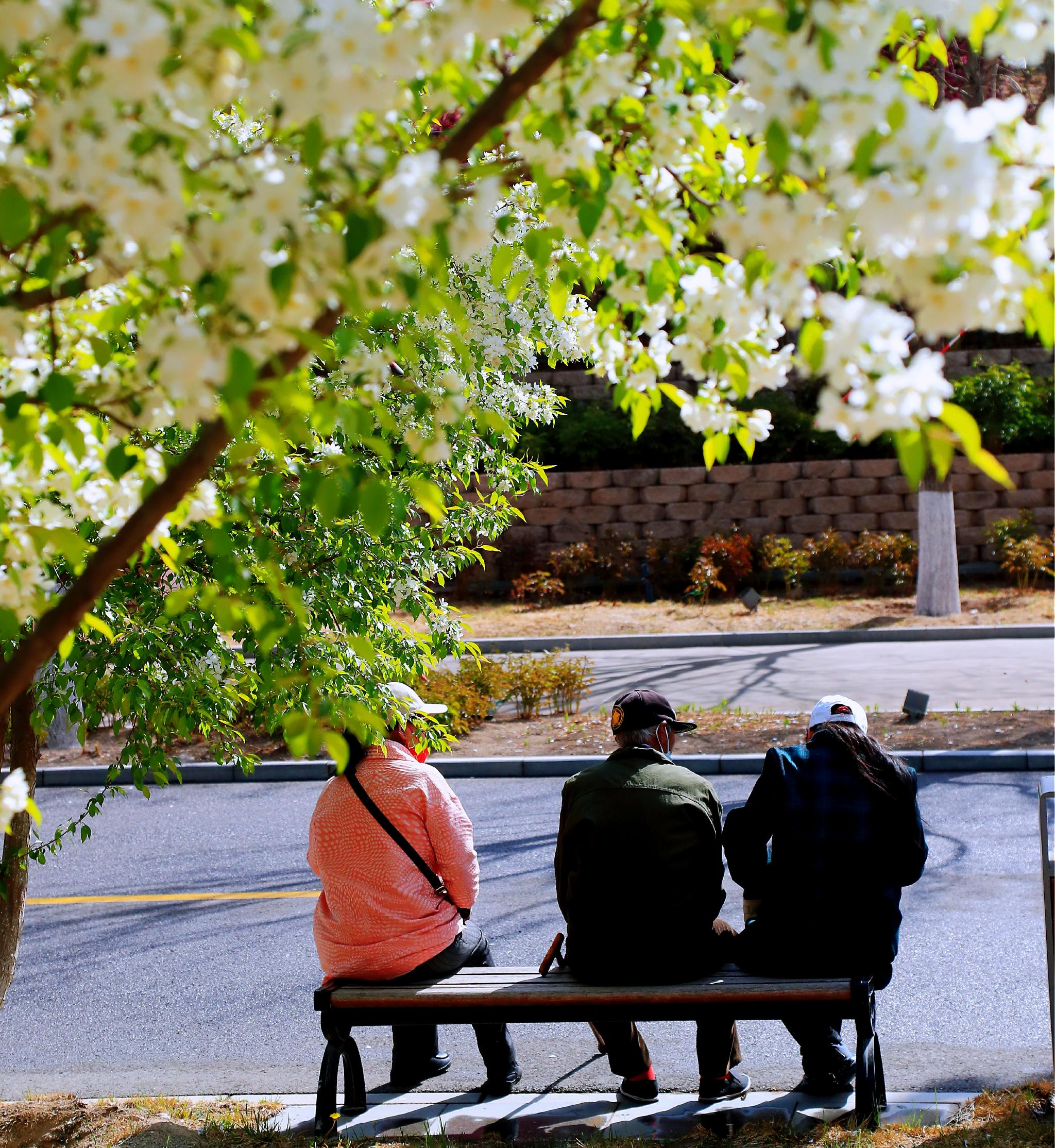 世园公园第四届北京国际花园节将于4月28日开幕
