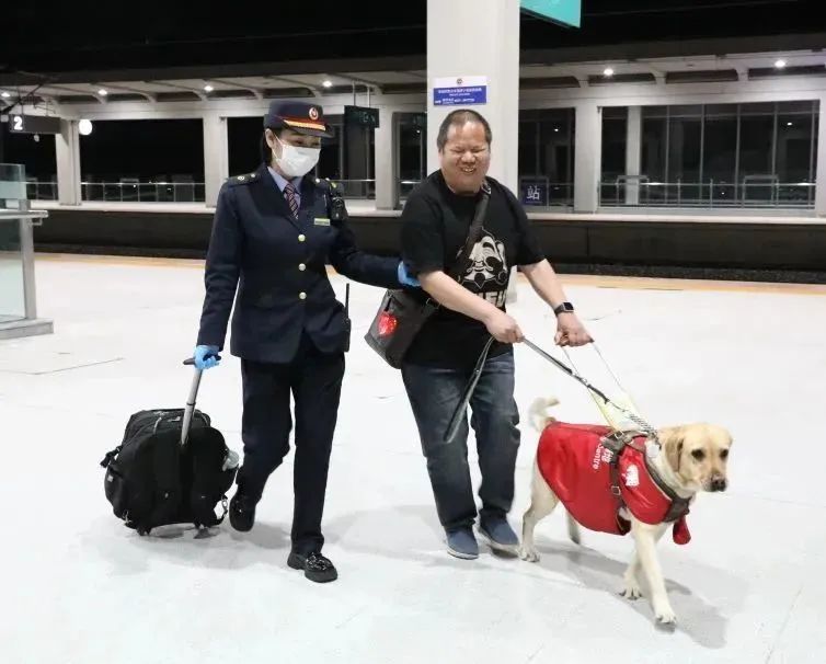 提醒!导盲犬,能上高铁!需带这些证件