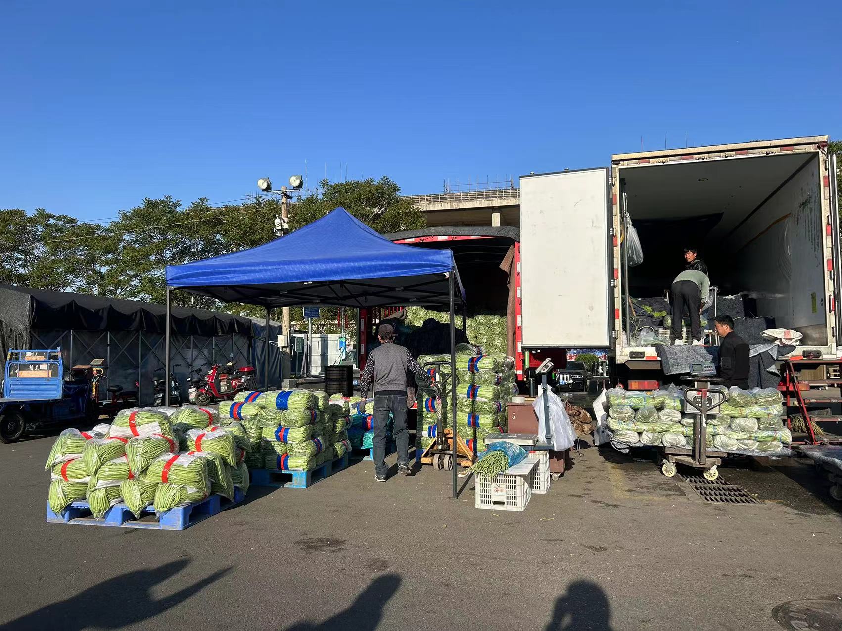 "五一"节前探访北京新发地,蔬菜等农产品量足价稳