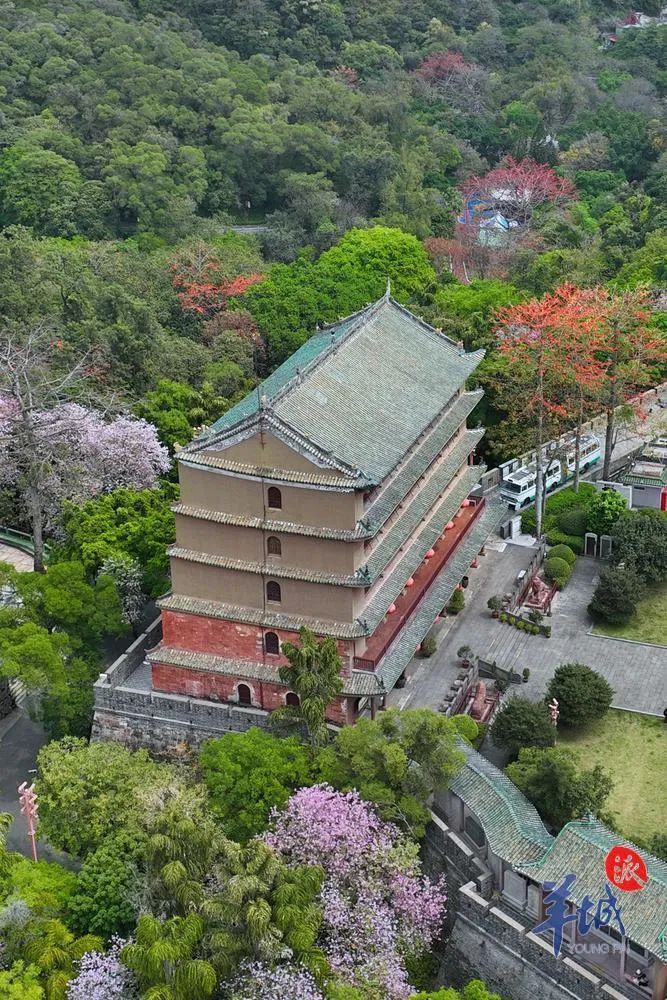 "五一"有嘢玩!广州各大公园景区活动上新→|广州市_新浪财经_新浪网