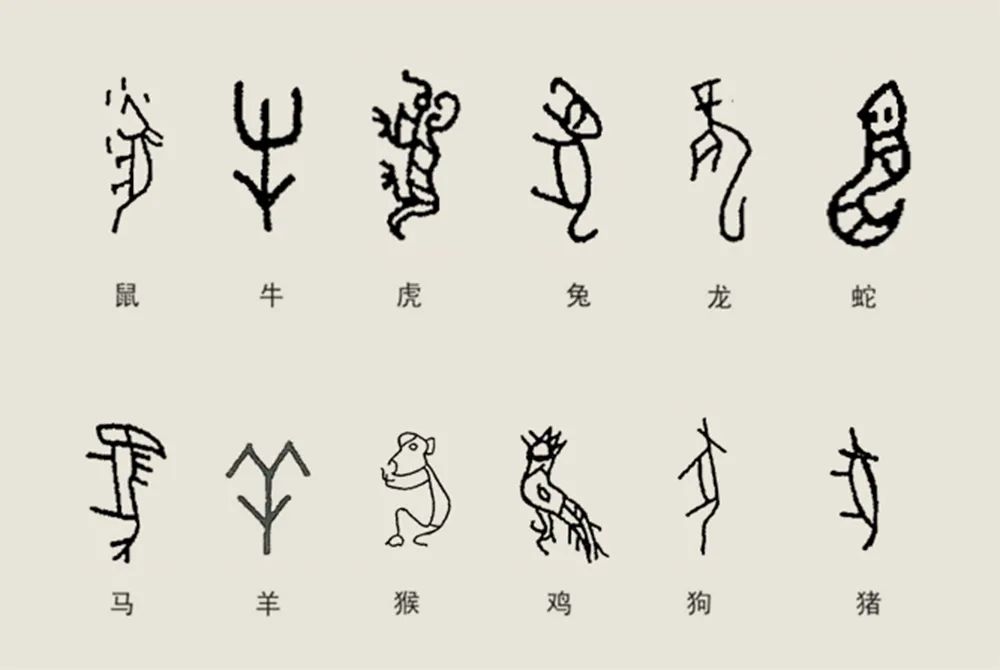 从刻写到占卜,嘉定博物馆呈现"甲骨文记忆"