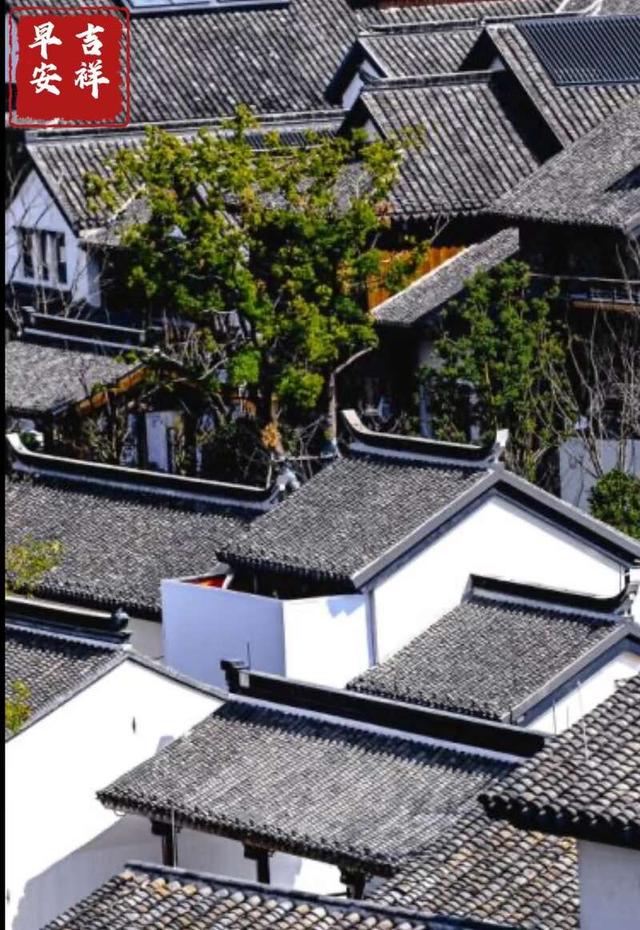 上海老破小计划变身五一网红点蟠龙古镇焕新升级