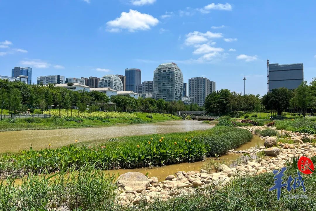 南岗河碧道萝岗湿地公园段 图/梁怿韬