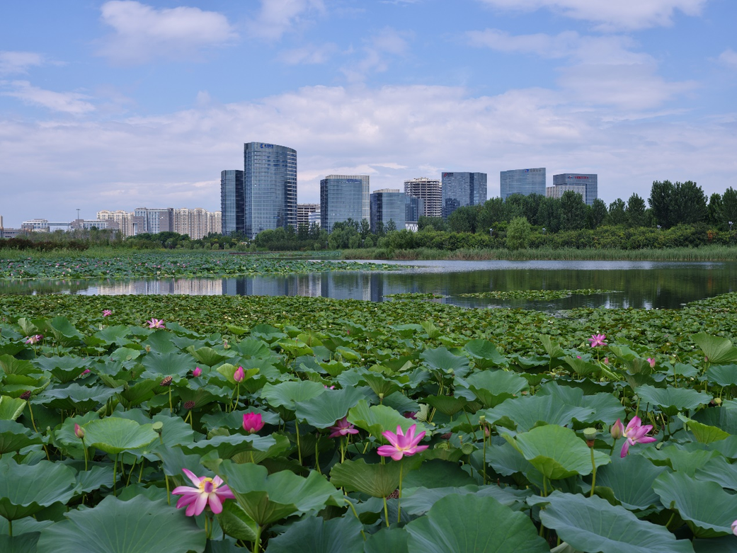 湖及通惠排干渠进行清淤,结合亦庄新城滨河公园二期建设进行景观提升
