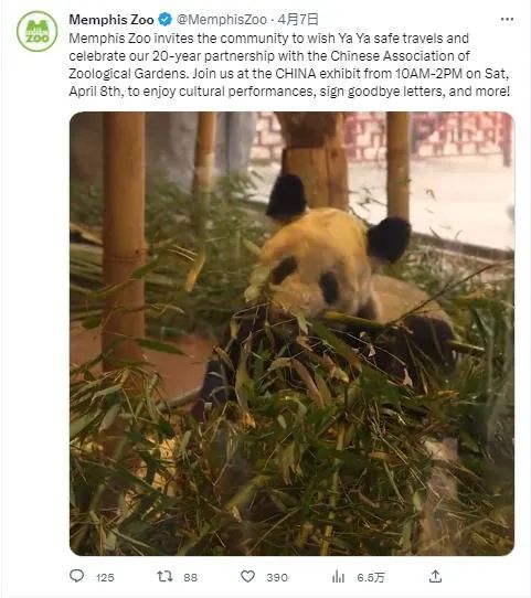“丫丫”，启程回国！休闲区蓝鸢梦想 - Www.slyday.coM