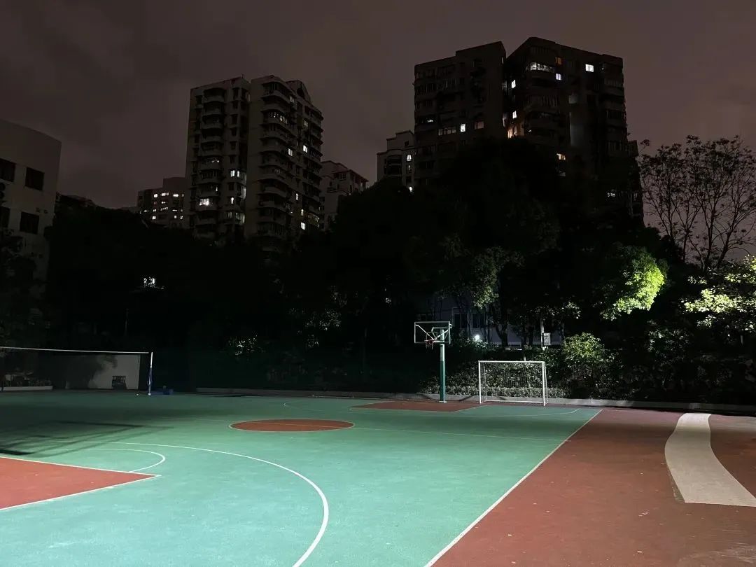 除了校门公示外,市民还可以通过"一网通办"查询全市学校的开放项目和