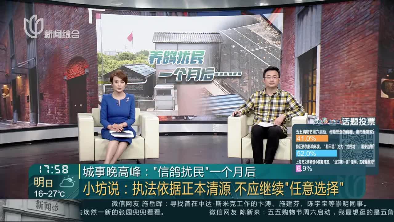 城事晚高峰:“信鸽扰民”一个月后 小坊说:执法依据正本清源 不应继续“任意选择”_手机新浪网