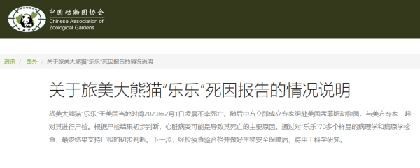 中国动物园协会发布旅美大熊猫乐乐死因报告：支持尸检初判的心脏病变休闲区蓝鸢梦想 - Www.slyday.coM