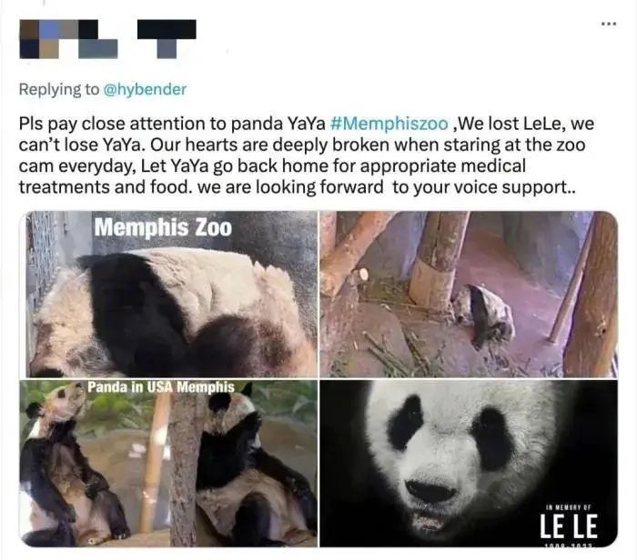 丫丫启程回国，预计今天下午到上海休闲区蓝鸢梦想 - Www.slyday.coM