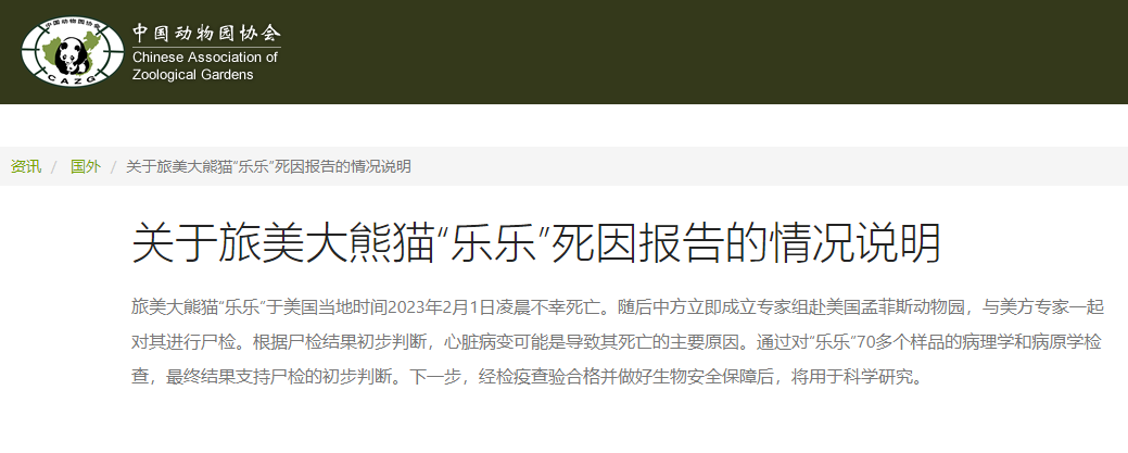 旅美大熊猫“乐乐”死因报告发布(图1) 旅美大熊猫“乐乐”死因报告发布(图1)
