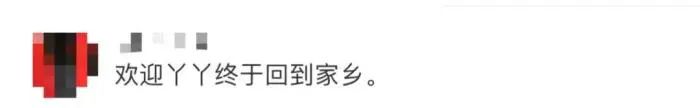 丫丫启程回国，预计今天下午到上海休闲区蓝鸢梦想 - Www.slyday.coM