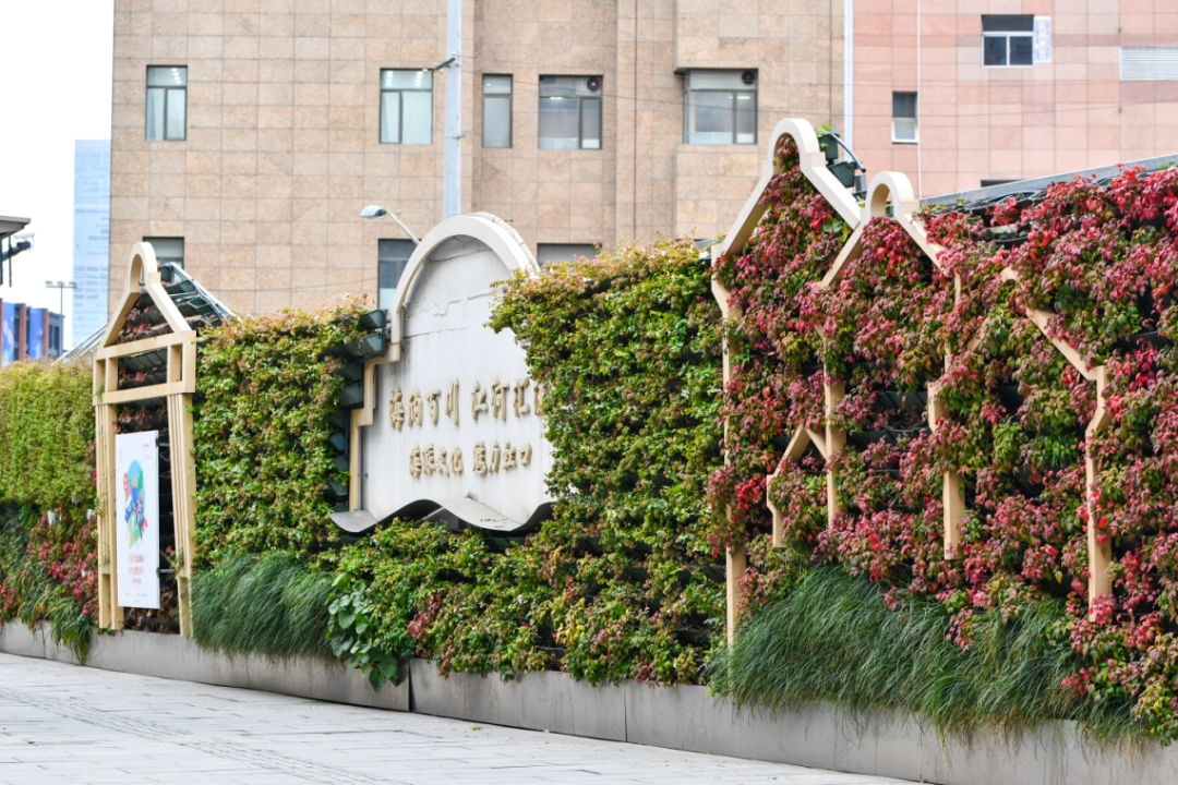 天潼路工地围墙垂直绿化