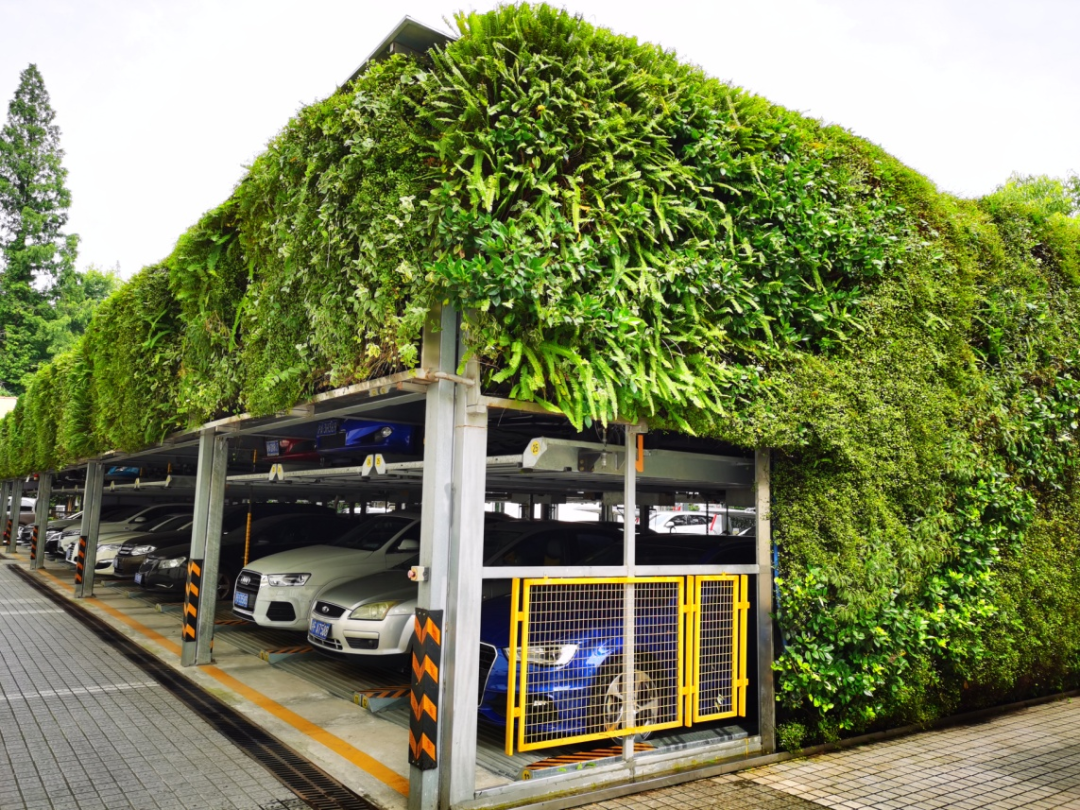 【探索】公园城市建设中的立体绿化,你知道哪些?_新浪财经_新浪网