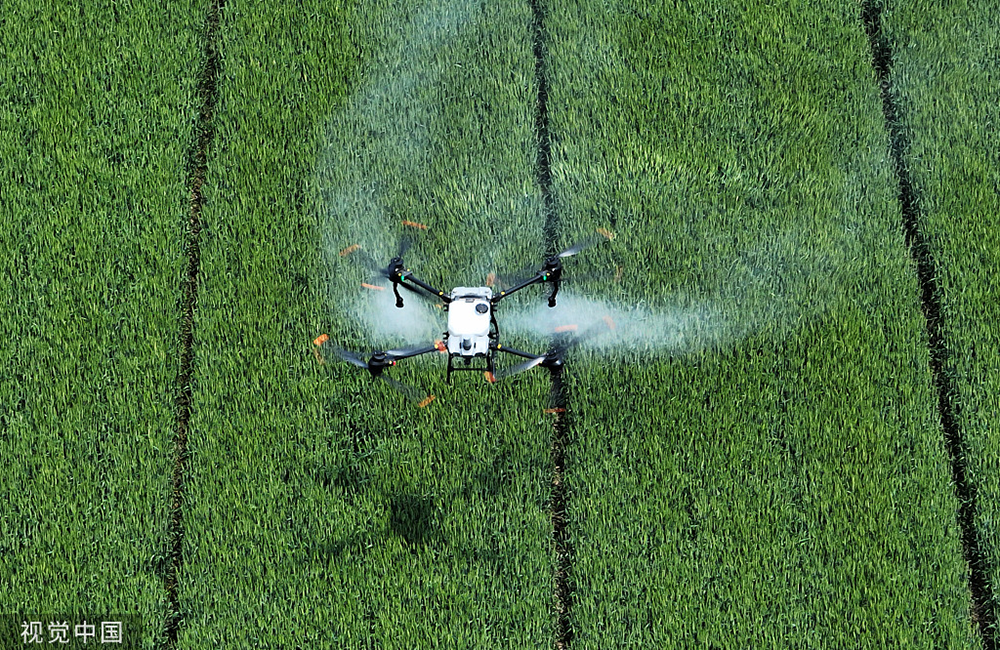 中央财政下达小麦"一喷三防"补助资金16亿元|江苏扬州_新浪财经_新浪