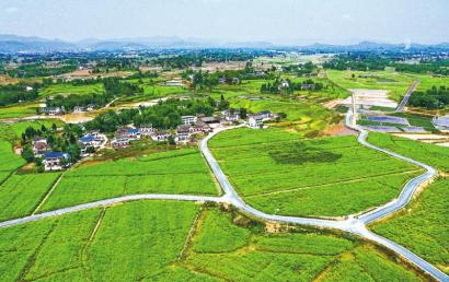 广安区花桥镇粮油产业园一角.张国盛 摄