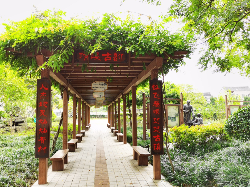 【探索】公园城市建设中的立体绿化,你知道哪些?_新浪财经_新浪网