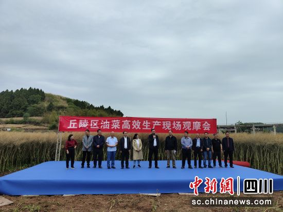 推广丘陵区油菜重大品种  四川推动油菜产业高质量发展