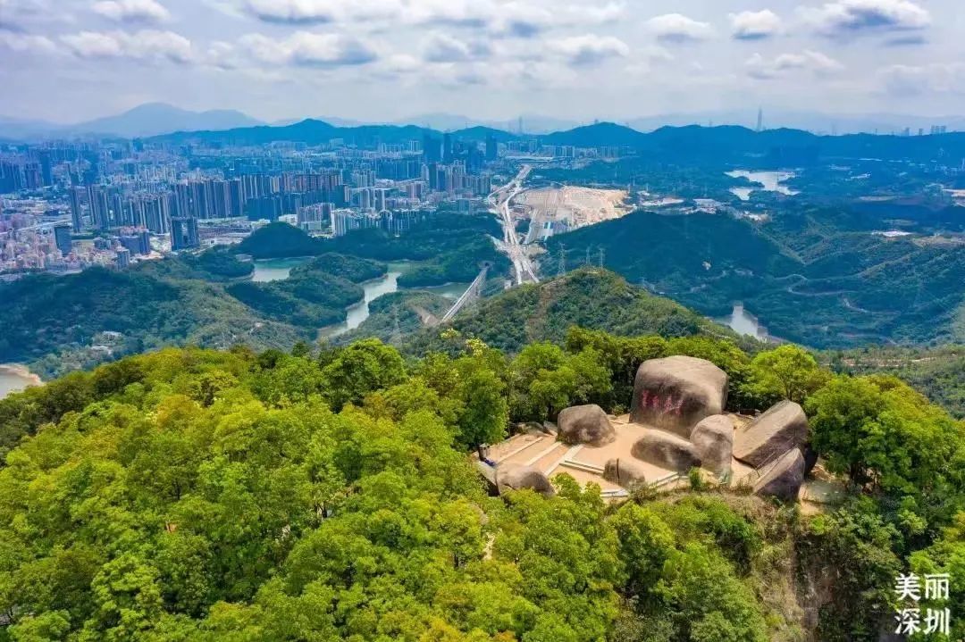 "五一"深圳热门景区交通指南_新浪财经_新浪网