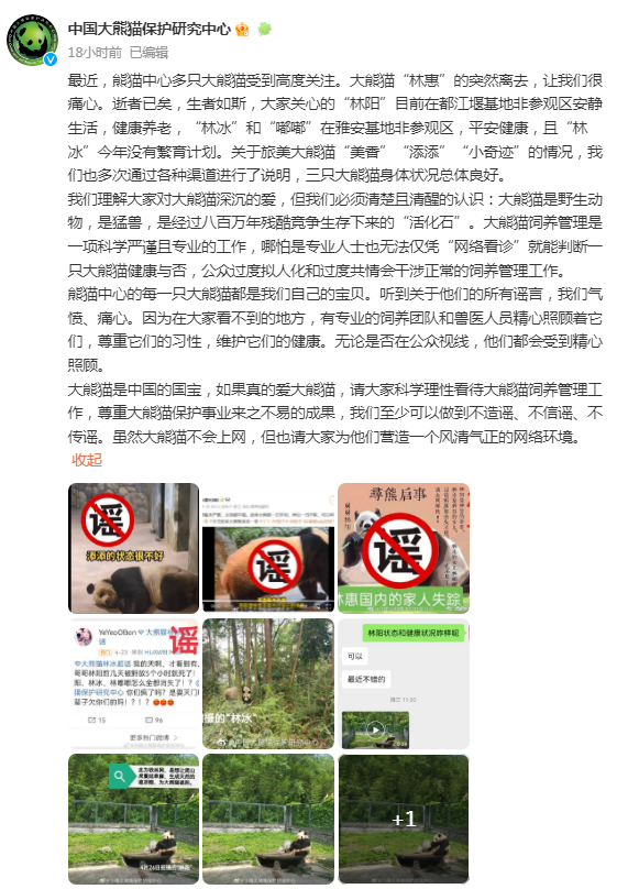 来源：上游新闻（记者 朱婷 实习生 杜一萌）、@中国大熊猫保护研究中心 、央视网