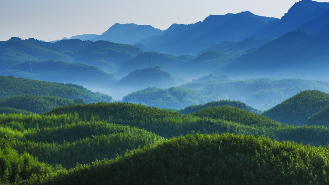 图:百里竹海景区