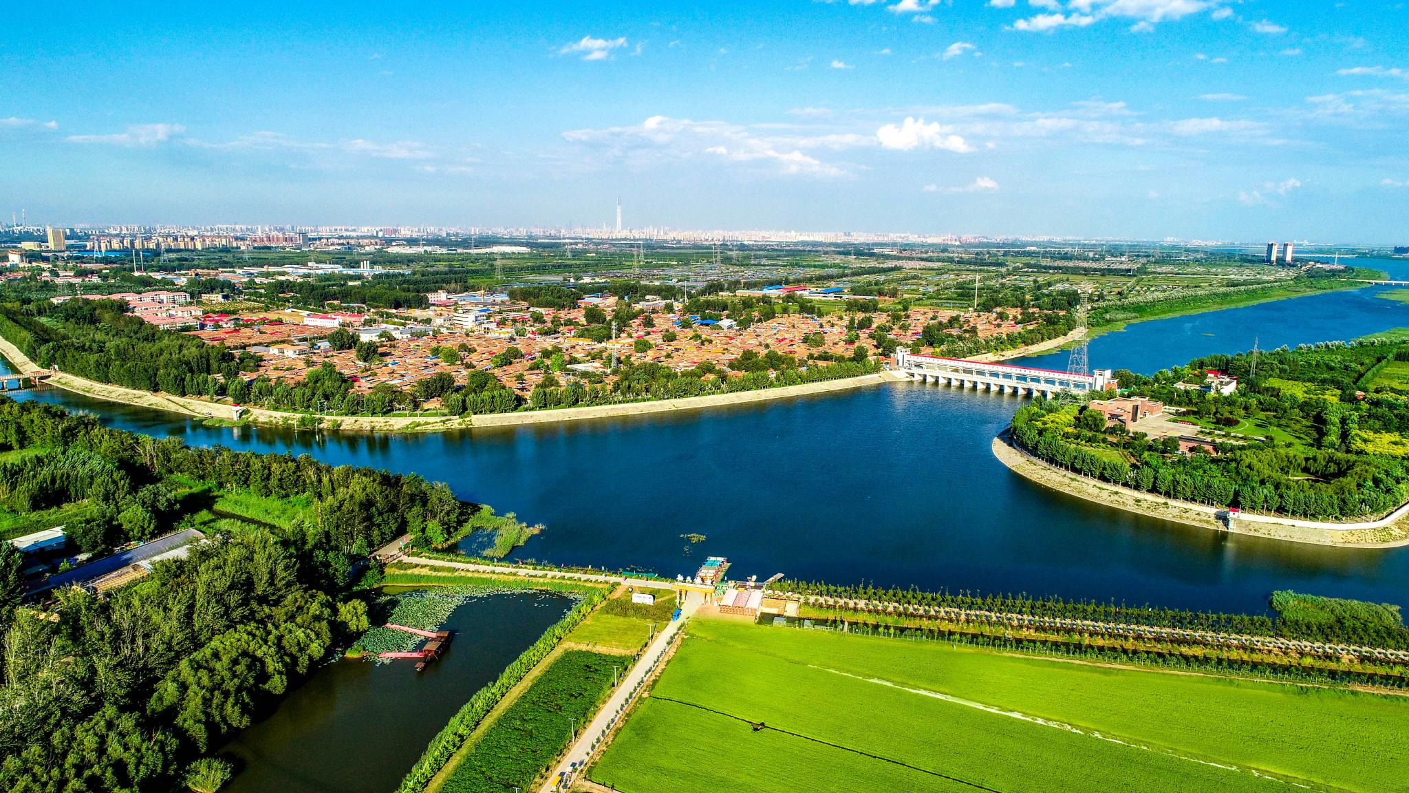 一条"彩带"串起"三兴"——记者蹲点大运河天津段看杨柳青青__财经头条