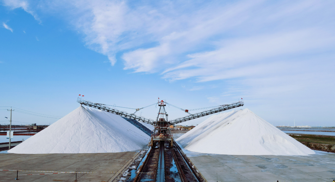 桂发祥十八街麻花,长芦汉沽制盐工艺……近日,2023滨海新区工业旅游季