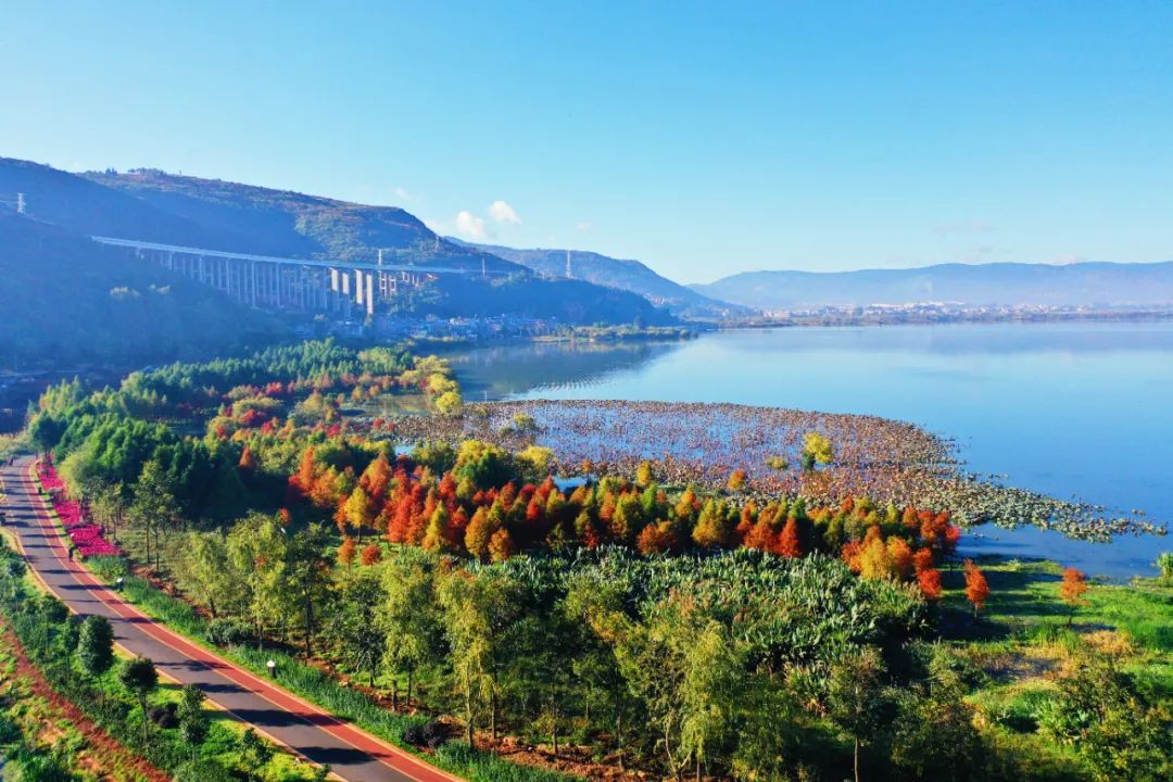资料图:江川星云湖国家湿地公园 李丹&nbsp;摄
