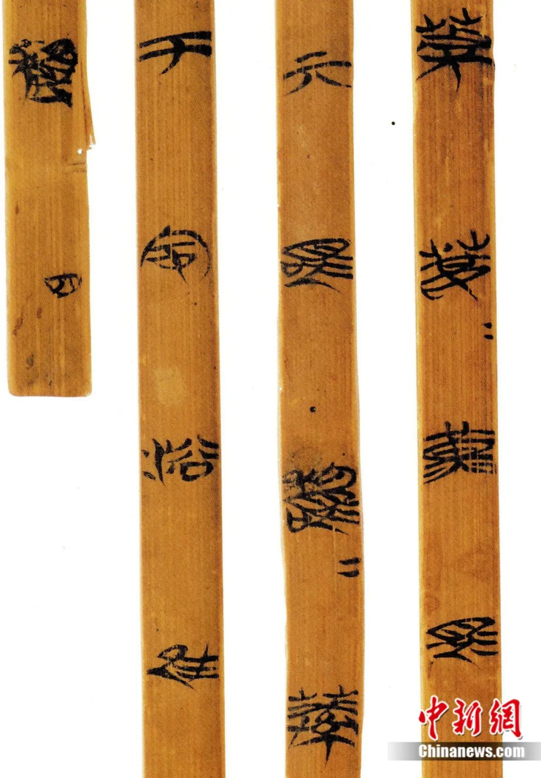 安徽大学藏战国竹简第一辑《诗经·葛覃》局部 受访者供图