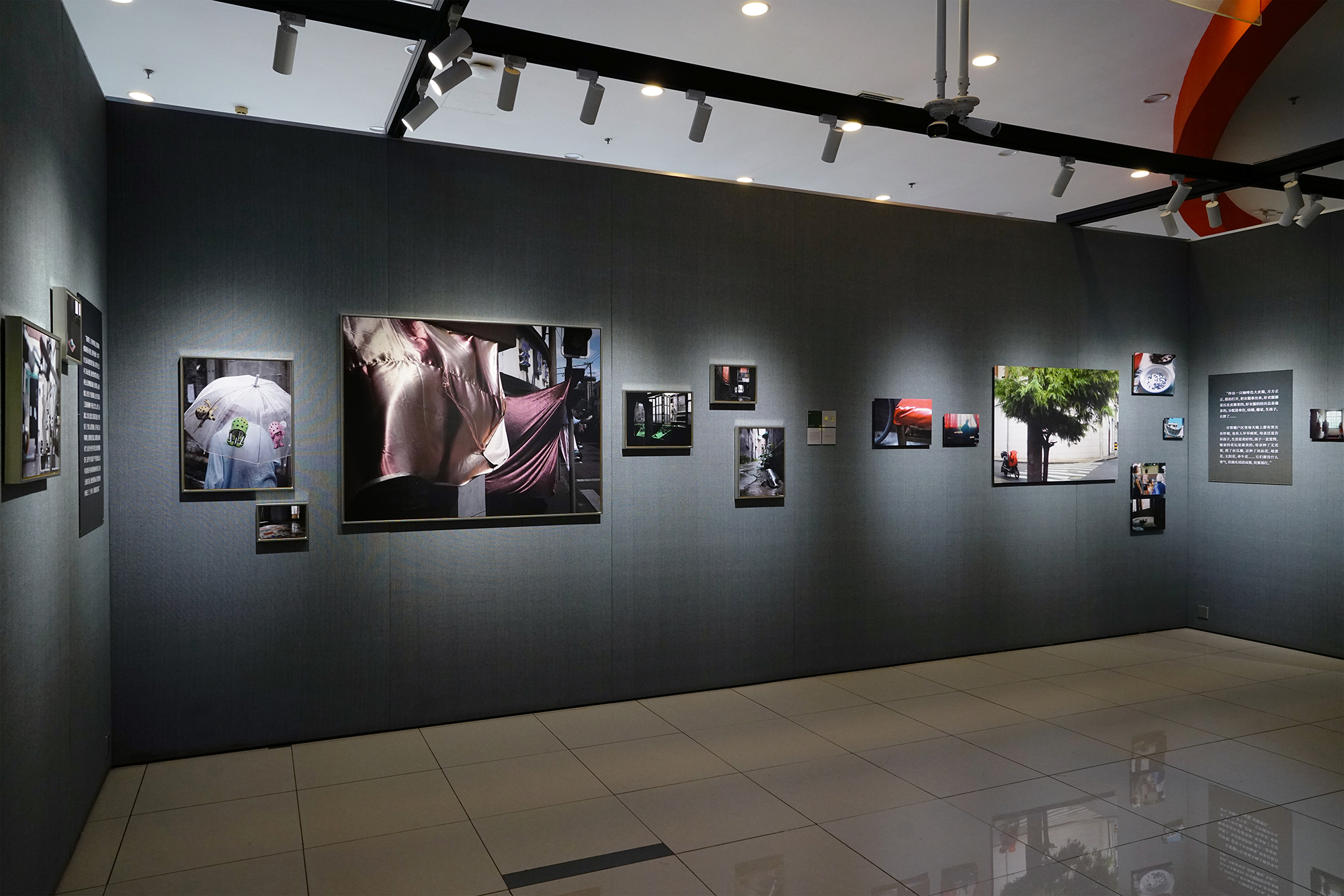 《上海相册》展览现场.图片由上海市群众艺术馆提供