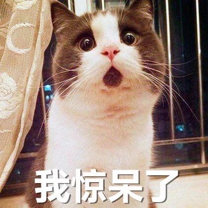 丁立人_新浪财经_新浪网