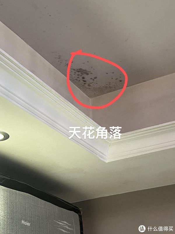 查漏日报：第一处回南天，第二处卫生间漏水。休闲区蓝鸢梦想 - Www.slyday.coM