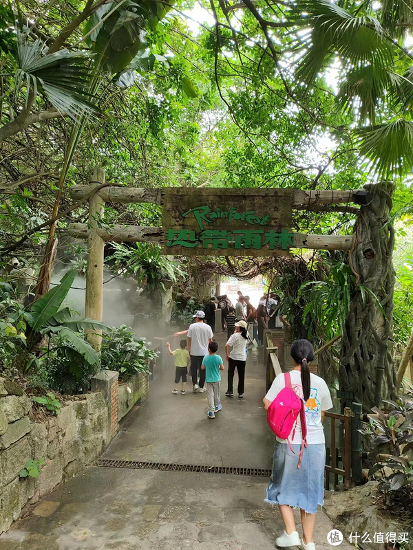 青青子衿小说讲了什么 青青子衿有番外吗