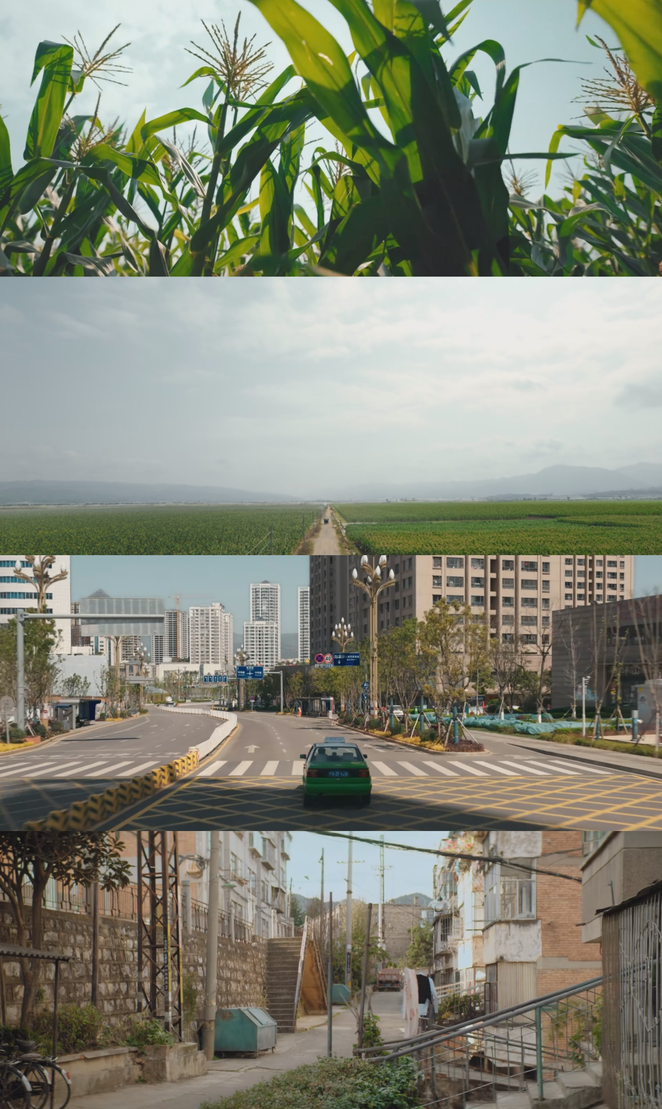 9.5分!《漫长的季节》是艺术品,是时代的琥珀|漫长的季节_新浪财经_新