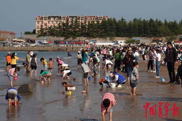 5月1日,山东青岛,沙子口广场,许多家长带着孩子来海滩赶海.