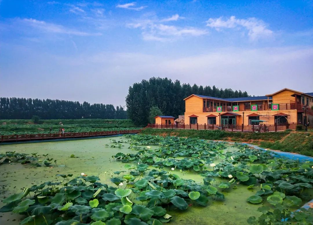 美翻了我的村97 | 河南省安阳市汤阴县韩庄镇:村美民富产业旺_新浪