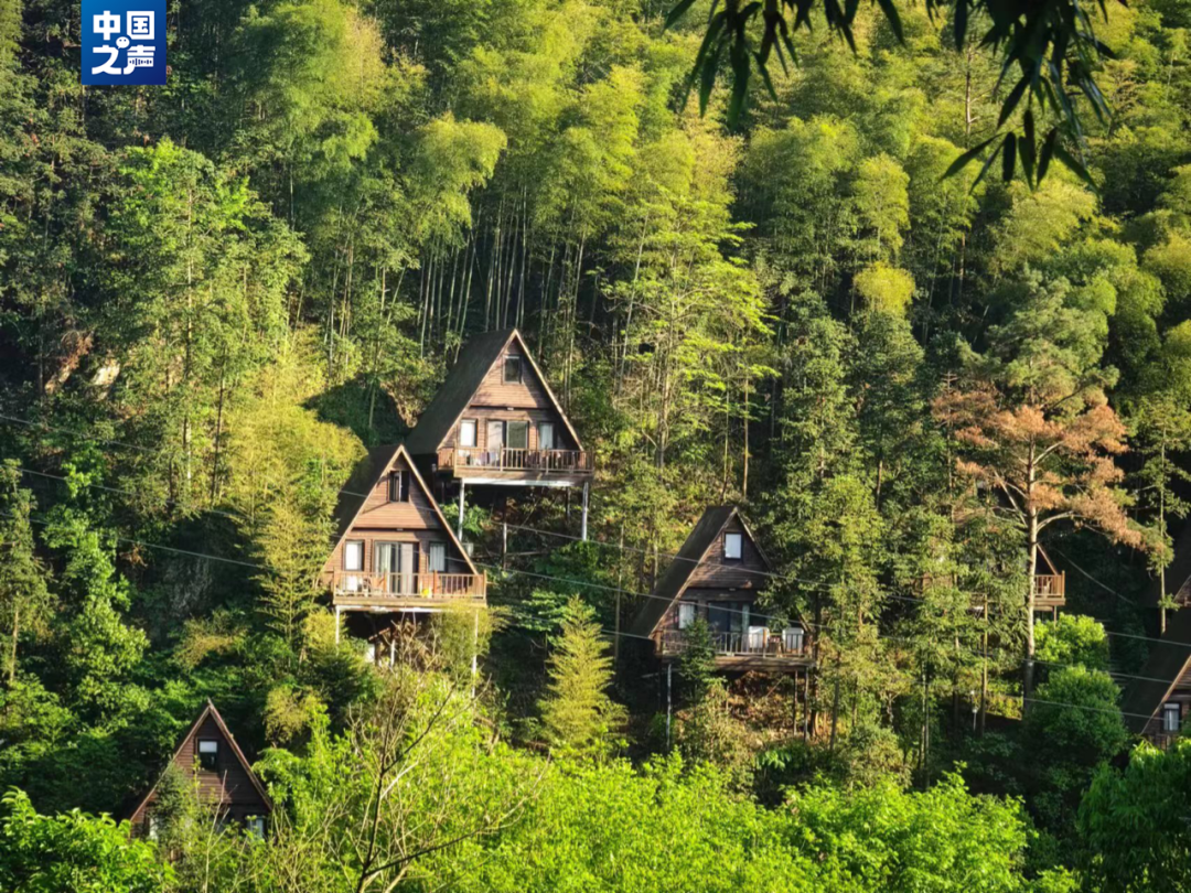 森林小木屋民宿