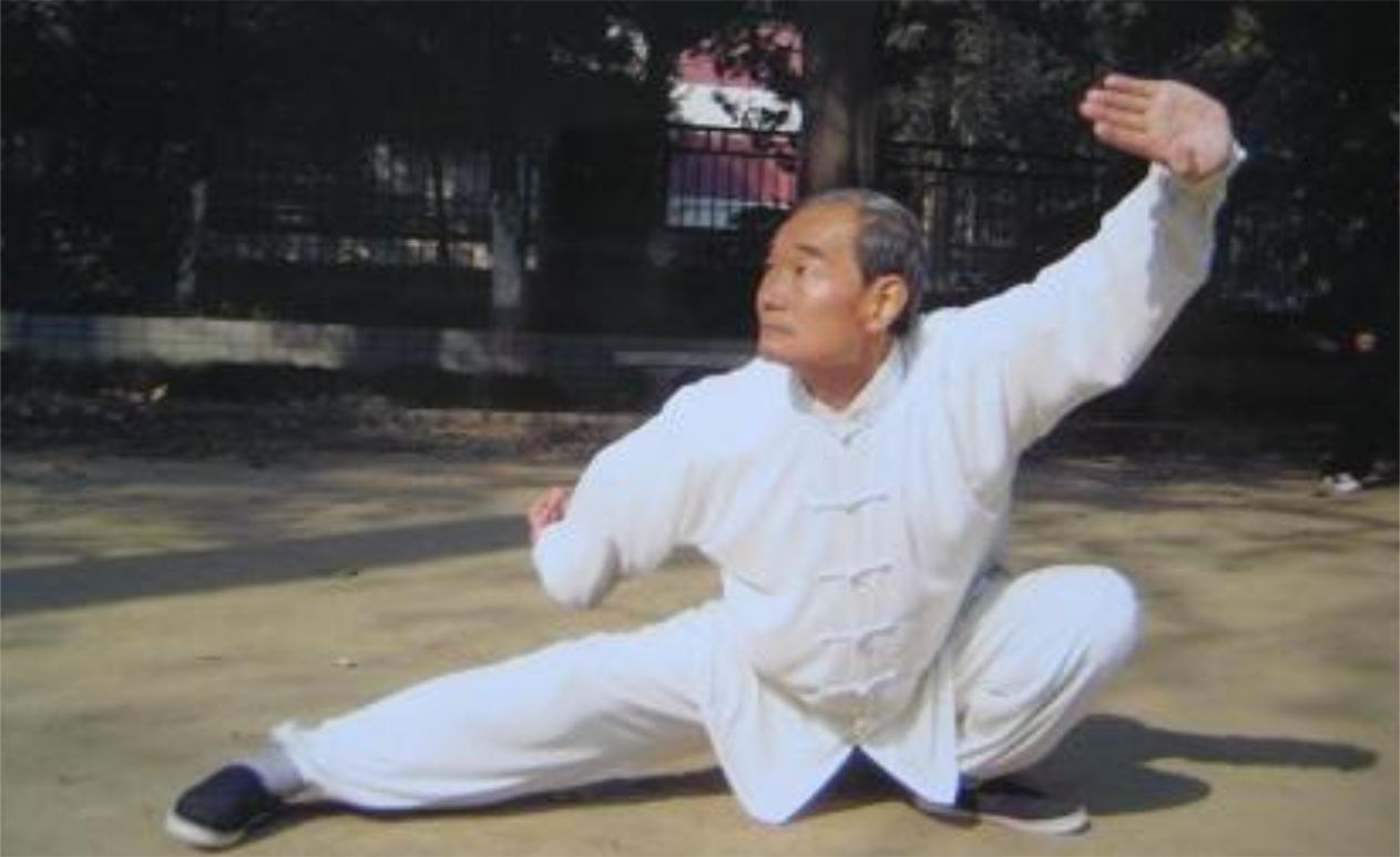 太极拳堪称中国武术的魅力神话,武术大师现场演示!|太极拳|中国武术_新浪新闻