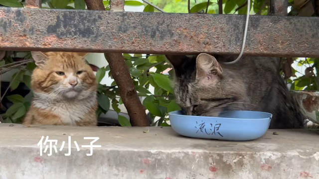 “寒心,真正的心寒不是大吵大闹”_新浪新闻