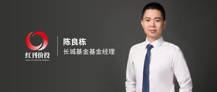 长城基金陈良栋:人工智能利好半导体,服务器芯片与车用芯片或胜出