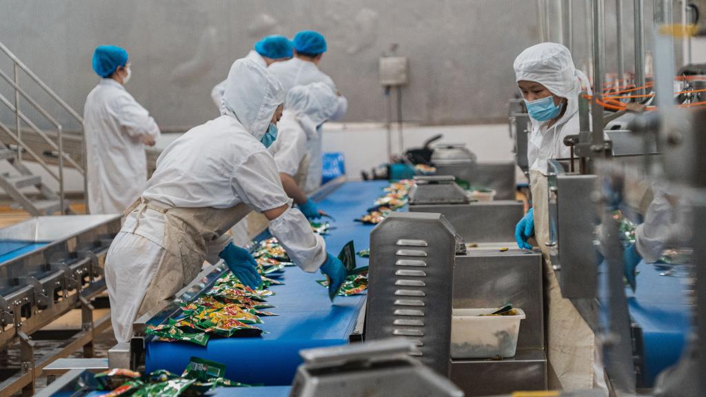 四川眉山:"小泡菜"如何做成"大产业"_新浪财经_新浪网