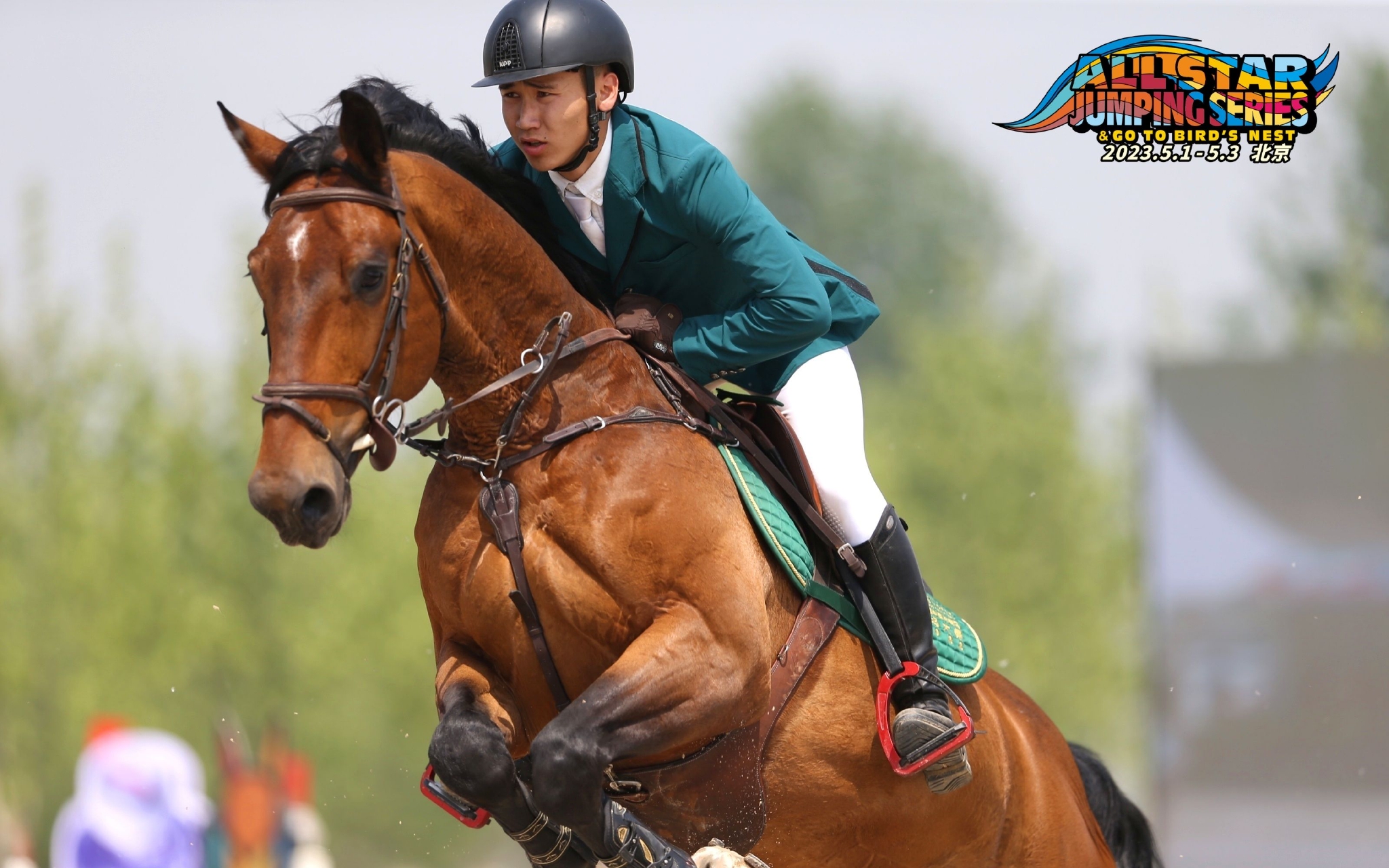 全明星马术系列赛首站比赛落幕,9个冠军全部产生|马术|季军|团体赛