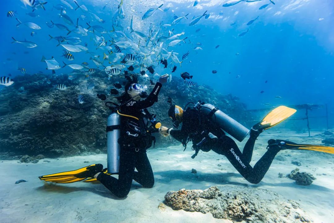 4月29日,在三亚蜈支洲岛海域,游客正在体验潜水,感受热带海洋魅力.
